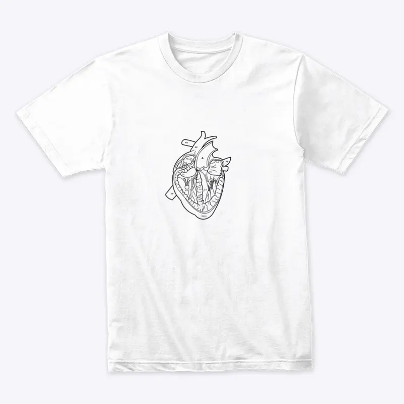 Heart TEE 